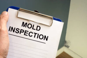 Mold Inspection Cost